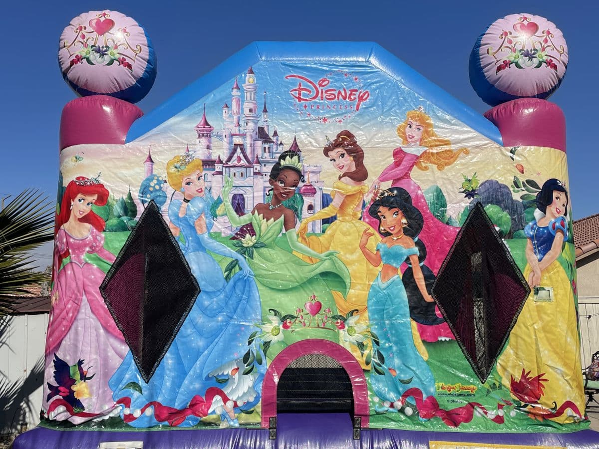 Princess Castle Jumper 13x13